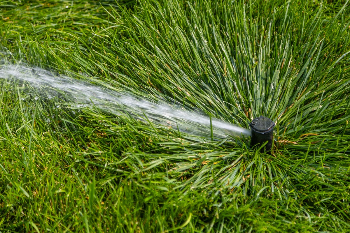 sprinkler turf water grass lawn spray irrigation