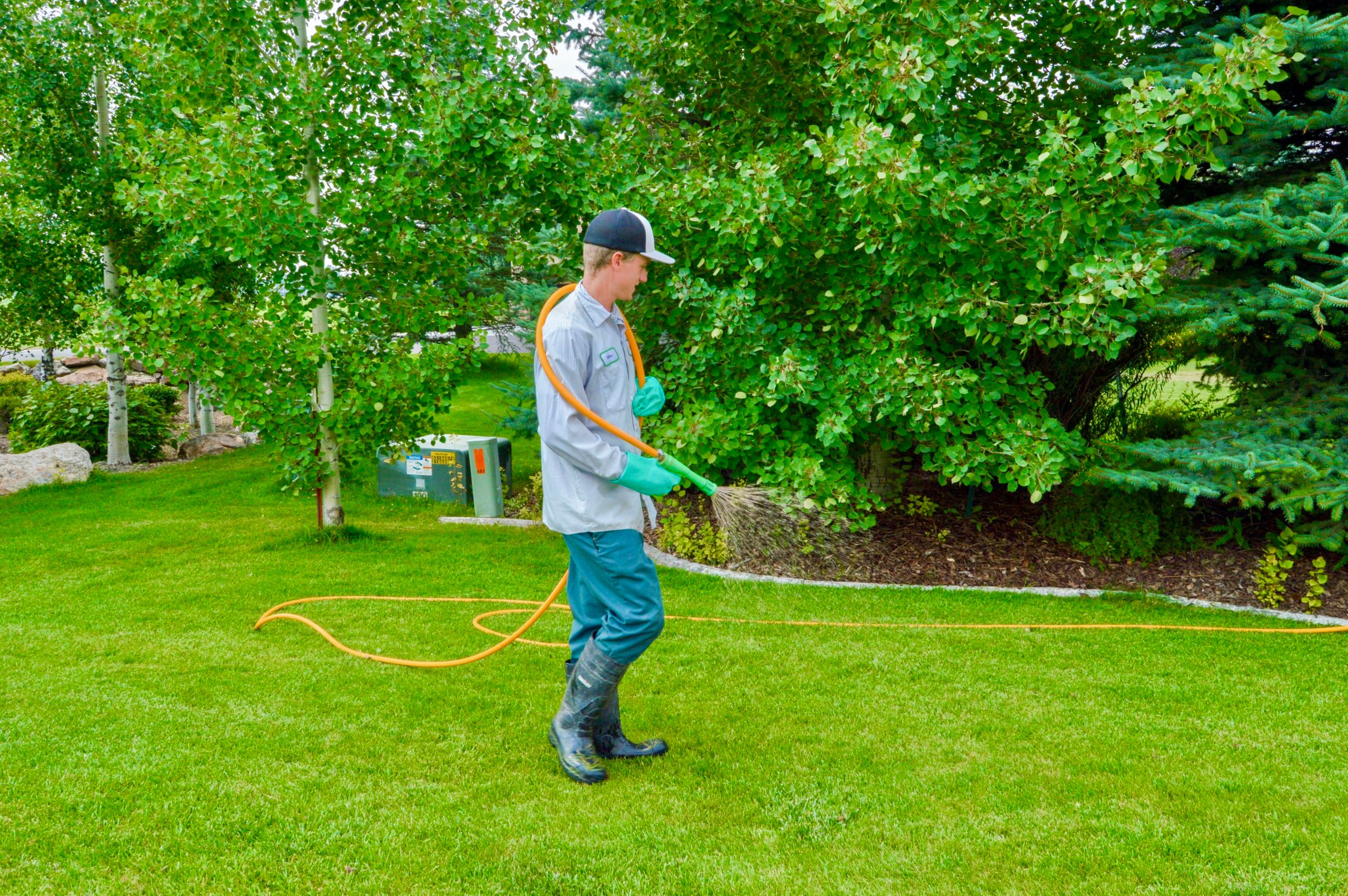 how-much-do-lawn-care-companies-charge-per-square-foot