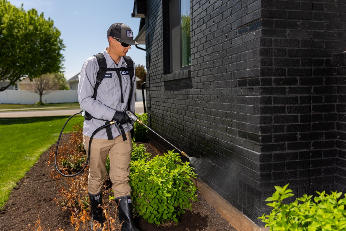 Technician Crew Spraying Exterior Pest Control 2