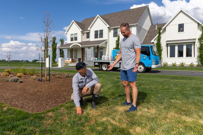 Technician Inspection Report Analysis Meeting Lawn Grass 5