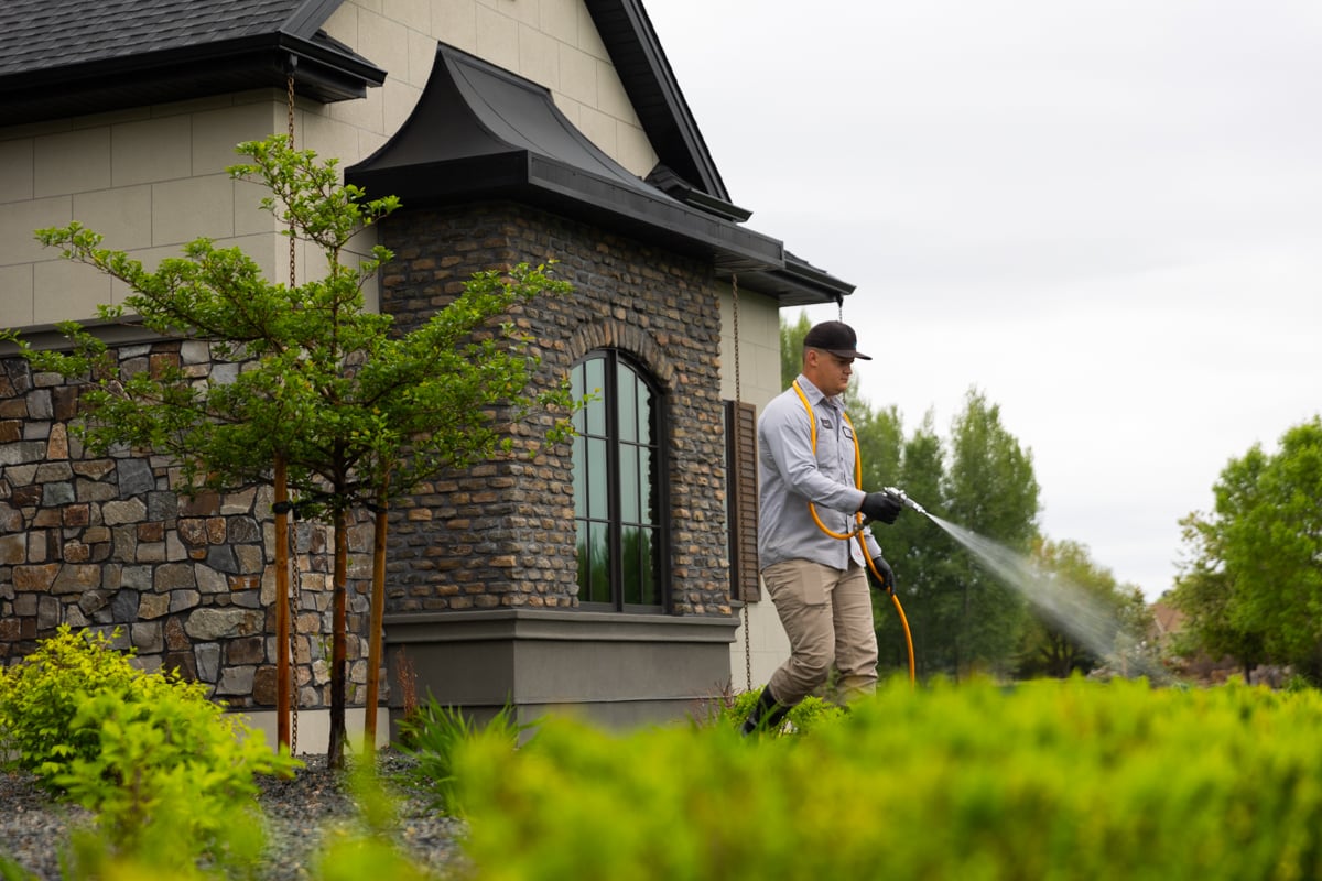 Technician Spraying Fertilization Plant Health Shrubs 4