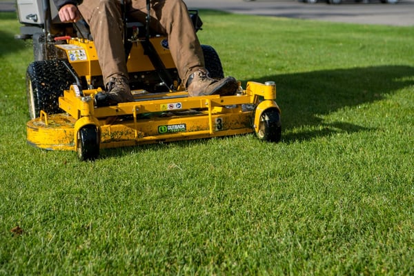 Why is My Grass Turning Brown After Mowing?